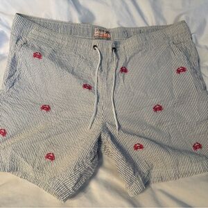 Men’s JCREW swimsuit